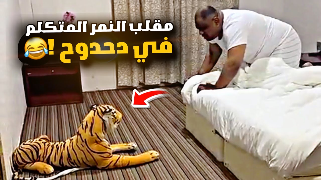 مقلب النمر المتكلم في دحدوح 😂😂😂