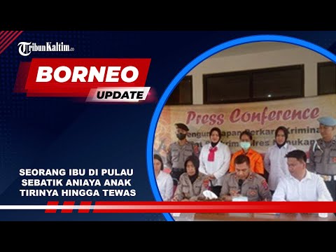 🔴BORNEO UPDATE -