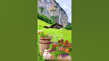 خالد الجليل سورة الفرقان بكاء وتلاوة خاشعة تريح الاعصاب #راحة_نفسية #المصحف #وطمأنينة