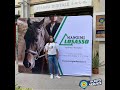 Espositore in tessuto 3x2 metri