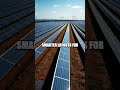 Sun Sparks and Hidden Currents A Fresh Green Power Story