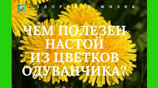 ОДУВАНЧИК.  ЛЕЧЕБНЫЕ СВОЙСТВА ОДУВАНЧИКОВ. САЛАТЫ ВАРЕНЬЕ И МАСКА ДЛЯ ЛИЦА ИЗ ОДУВАНЧИКОВ.