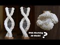 How to make dna 3d working model diy  how to build a dna model rotate at 360 for science projects