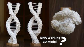 How to make DNA 3d working model DIY | How to build a DNA model rotate at 360° for science projects