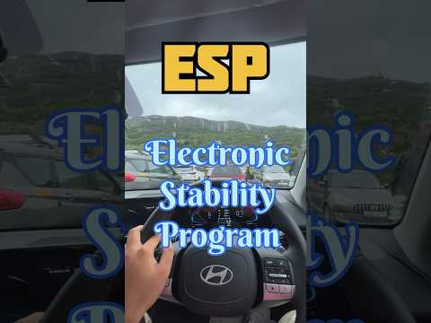 What is ESP
