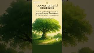 Cennet Ile İlgili Bir Gerçek 🌟👇