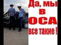 ДА, МЫ В ОСА ВСЕ ТАКИЕ. ОСА АБАЙ. КАЗАХСТАН