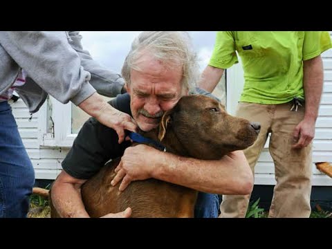 Animals Reunited With Owners After Years!