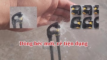 Giới thiệu dòng béc mới nhiều ưu điểm, giá rẻ, phù hợp túi tiền #quyetbectuoi
