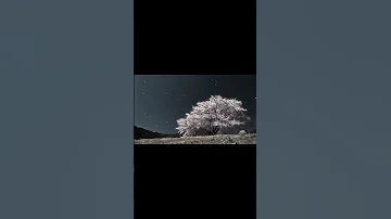 Middle Of June Heat Waves Only Vocal Without Music Acapella Status With Lyrics 