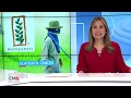 Monsanto condenado a pagar USD 81 millones por su herbicida Roundup que contiene glifosato