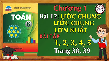 Toán lớp 6 trang 38, 39 Chân trời sáng tạo - Bài 1, 2, 3, 4, 5 trang 38, 39