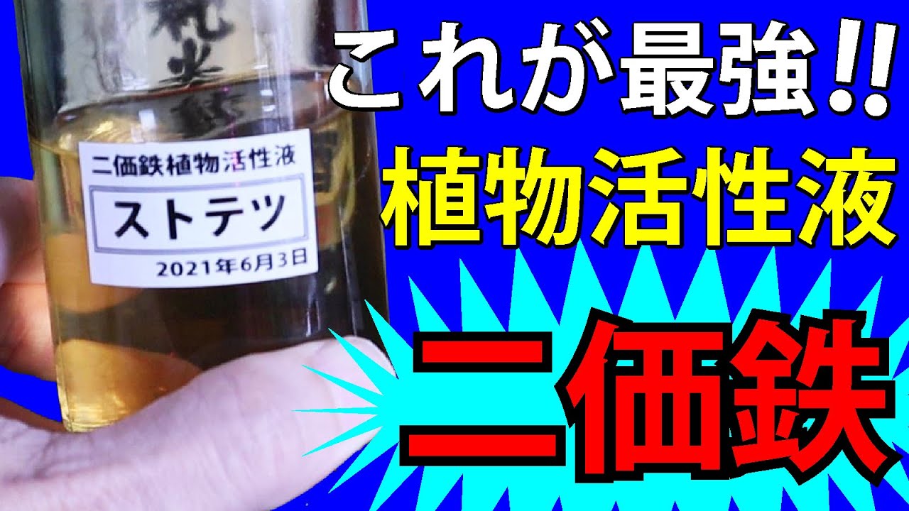 【液肥】これが最強‼ 植物活性液 【二価鉄、アミノ酸】【家庭菜園、園芸】