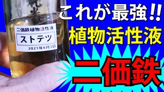 【液肥】これが最強‼ 植物活性液 【二価鉄、アミノ酸】【家庭菜園、園芸】