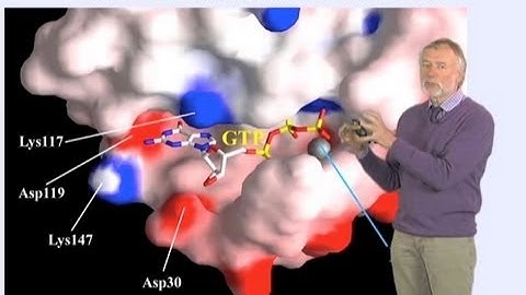 Alfred Wittinghofer (MPI) Part 2: GTPase Reactions and Diseases
