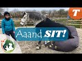 How to teach your HORSE to SIT ¦ Training VIDEO ¦ Emma Massingale