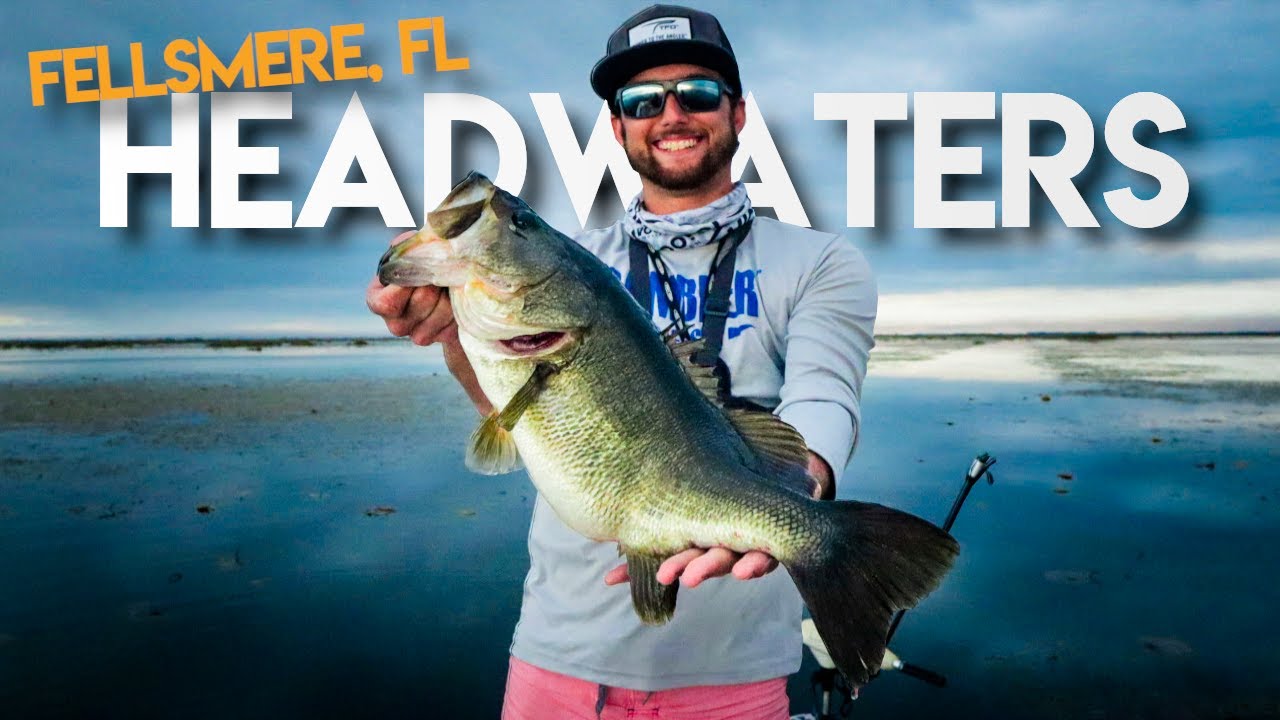 HEADWATERS LAKE FELLSMERE FLORIDA BEST BAITS FOR WINTER BASS FISHING