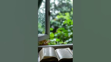 #تلاوة #اكسبلور #قران_كريم #راحة_نفسية #لايك #حالات_واتس #ماهرالمعيقلي