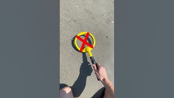 Incredible find on the beach while searching with a metal detector!