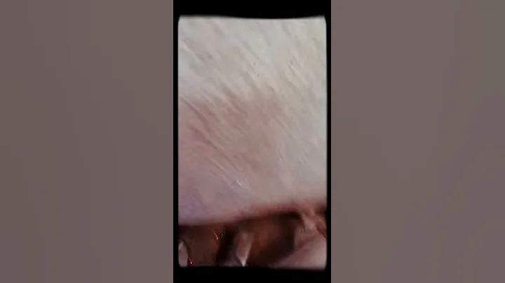 Bddgcxdvvcsgggc