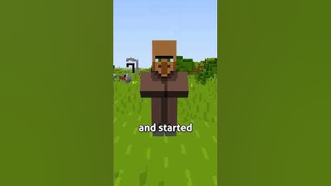 I Almost Died to a Villager