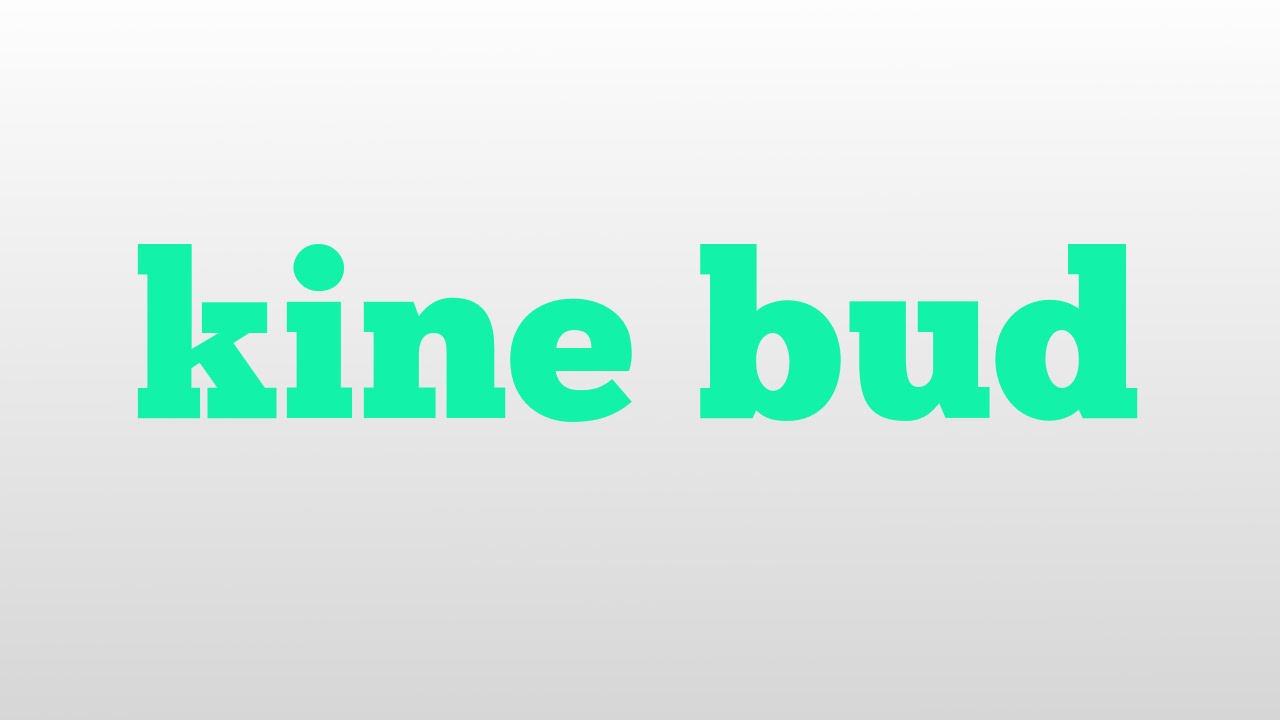 kine bud meaning and pronunciation