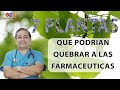 7 Plantas  Que podrían quebrar a las Farmacéuticas