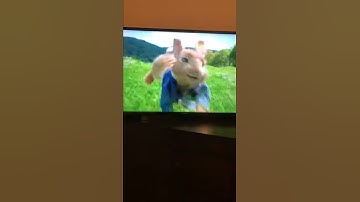Peter rabbit run scene