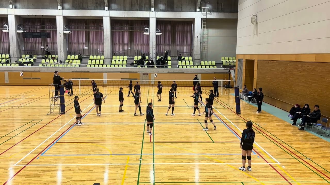 2026年2月21日 wing