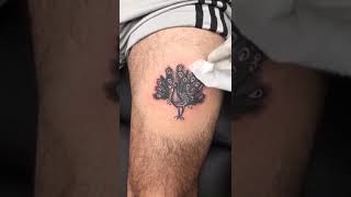 Aggregate more than 69 peacock tattoo meaning punjabi best  thtantai2