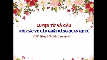 Luyện từ và câu - Tiếng Việt 5 trang 44