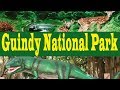 Chennai Famous Guindy National Park | snake park