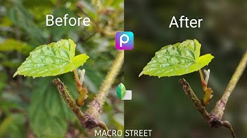 How To Blur Background In PicsArt | Blur Background Snapseed Photo Editing Tutorial | MACRO STREET