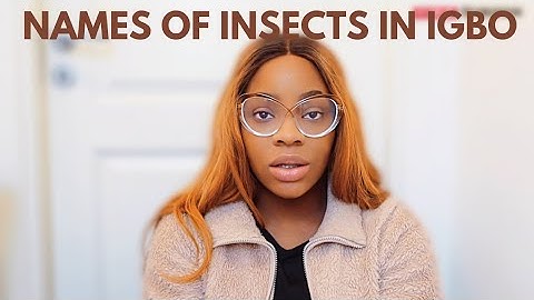 NAMES OF INSECTS IN IGBO LANGUAGE