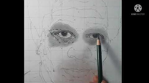 Hyperrealistic portrait of morgan freeman part -2 timelapse video.