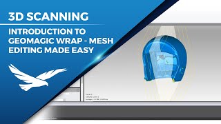 Introduction to Geomagic Wrap - Mesh editing made easy by Hawk Ridge Systems 447 views 1 month ago 8 minutes, 43 seconds