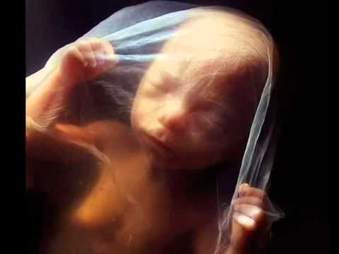 Не делай никогда аборт...