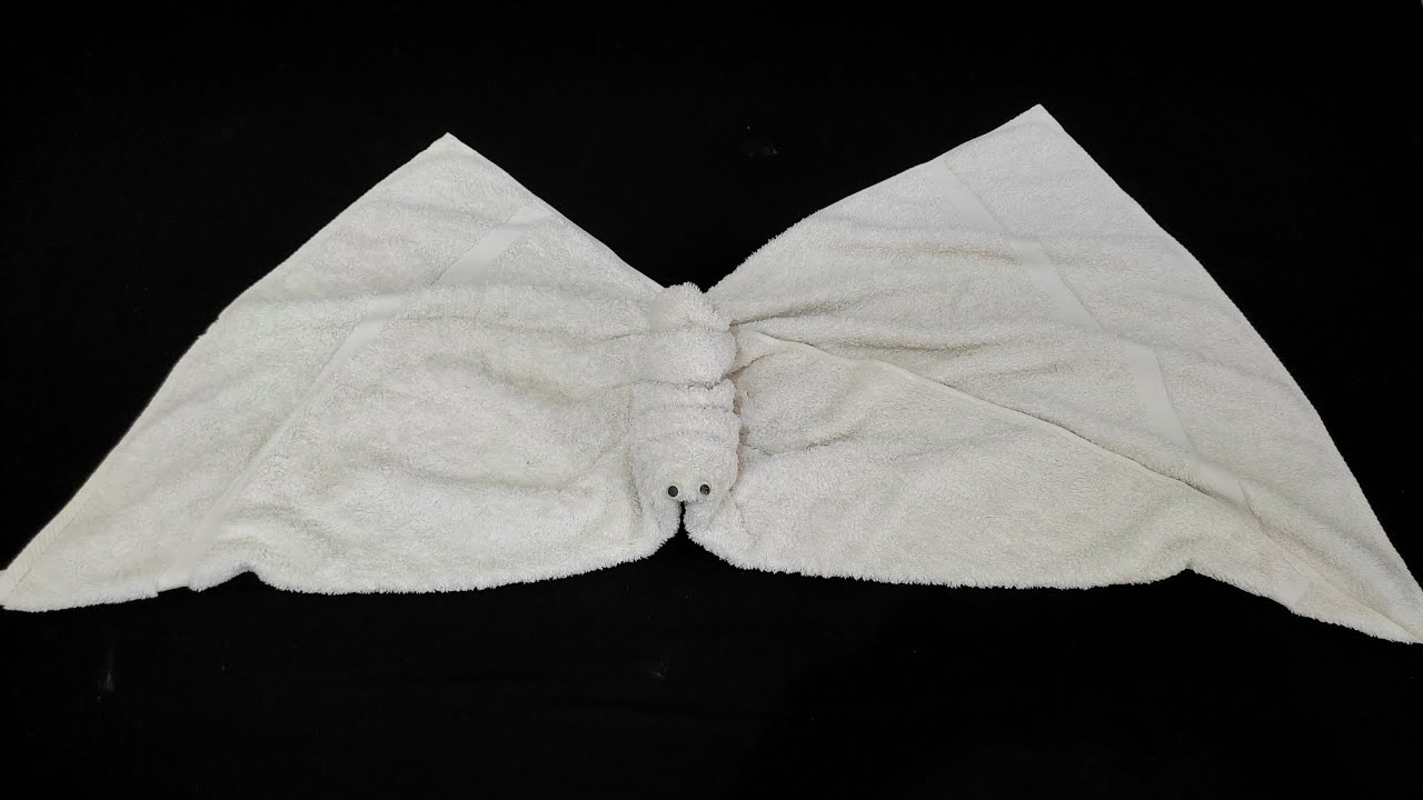 how to make towel animals towel butterfly towel folding YouTube