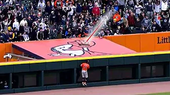 Have These MLB Stadium Objects Ever Been Hit?