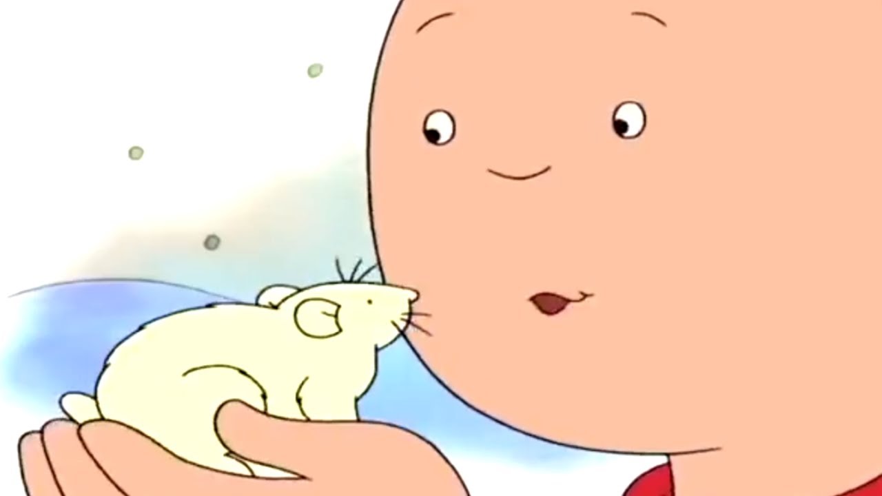 Caillou en Español - Caillou y el Hámster | Dibujos Animados Capítulos Completos