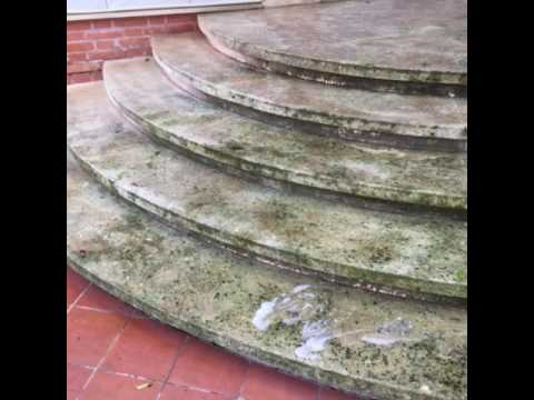 Pulizia di scala in marmo da muschio e trattamento su cessivo ... Come pulire scale in pietra