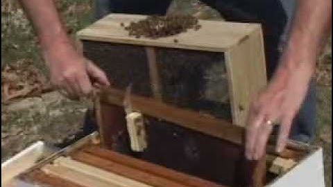 www.nebees.com - How to Install a Package of Honey Bees