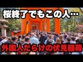 【4K】2026年4月12日(日)桜シーズン終了後の**伏見稲荷大社**|日曜日、観光客ほぼ外国人で大混雑【京都】