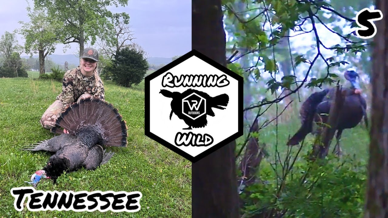 Turkey Hunting Tennessee 2024 Women Killer YouTube