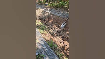 ta về đun nước pha trà. #trending #tamtrangcuocsong #farming #astrology #xuhuong #agriculture