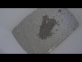 Hacks: Clean Trash Cans with Cat Litter