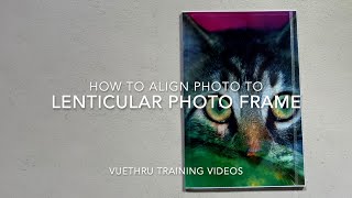 VueThru Alignment Tutorial