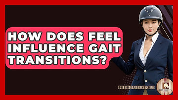 How Does Feel Influence Gait Transitions? - The Horses Stable
