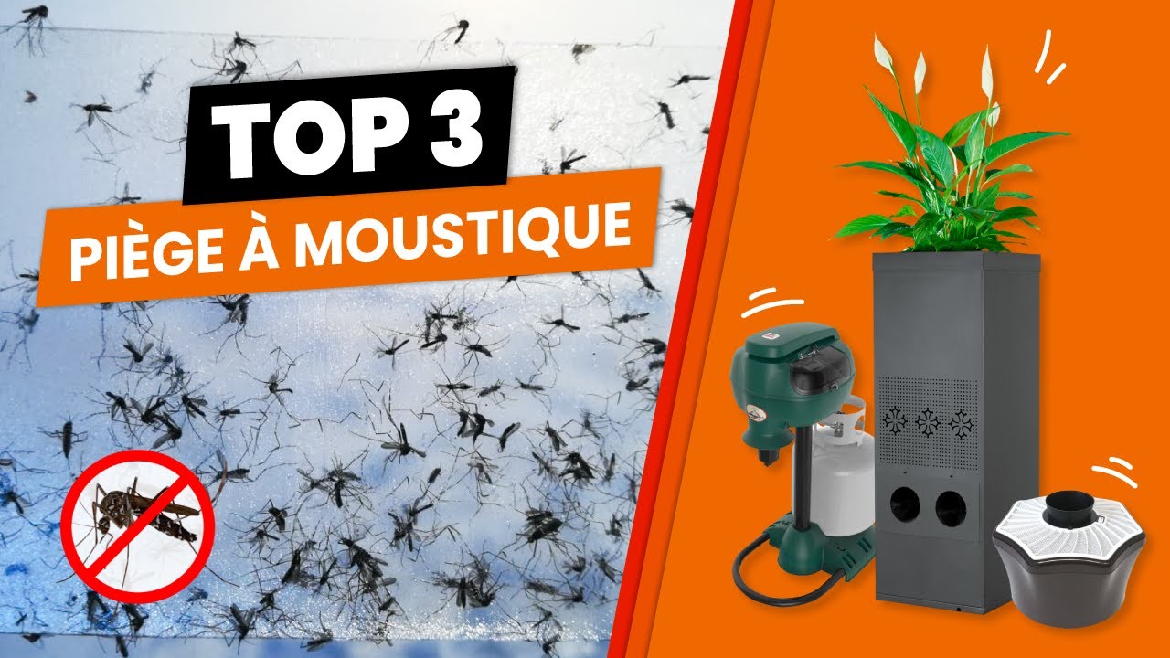 Test : Nenuco Piqûres de Moustiques et Pinypon