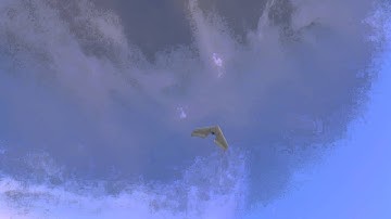 FT Mini Arrow maiden flight